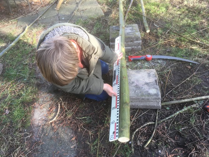 De Meerkoet DMTT wilgentakken afzagen voor onze nieuwste tuin 1